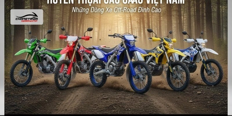 Top-cac-mau-dang-mua-2025