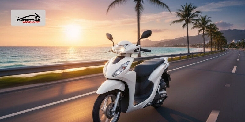 Vision-2025-phien-ban-cao-cap-mau-trang